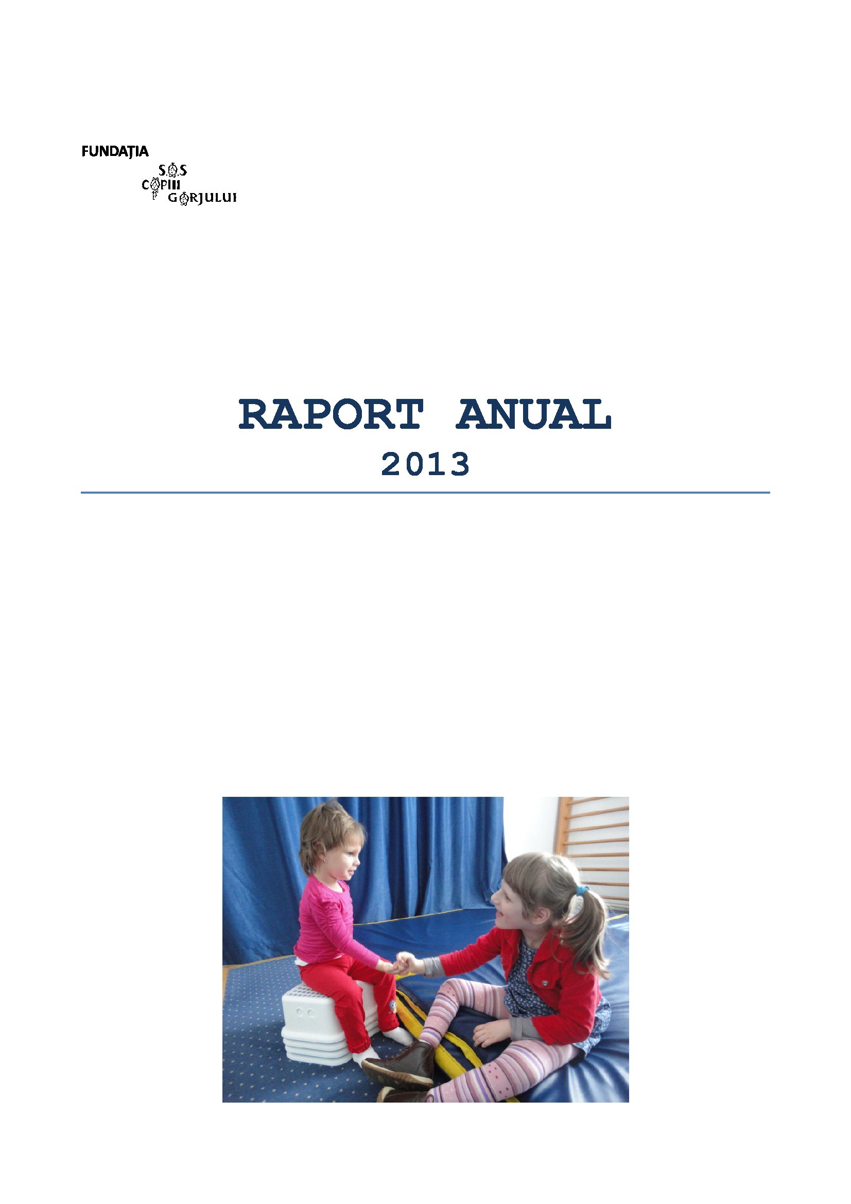 Copertă Raport 2013